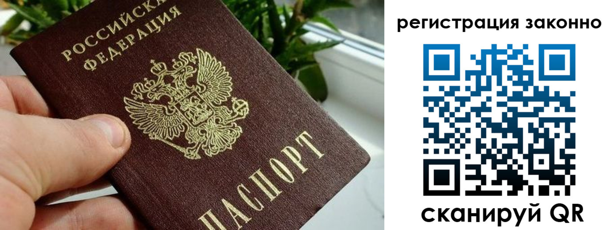 прописка гарантия в Тамбовской области